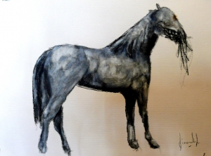 "Cavallo da sella Argentino"cm 30x40